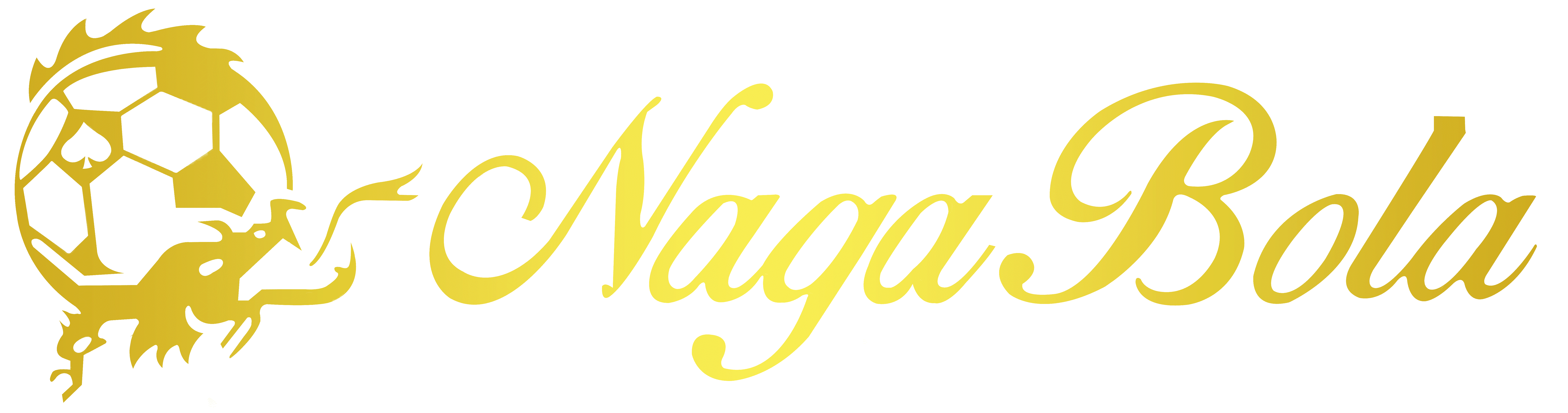 logo NAGABOLA