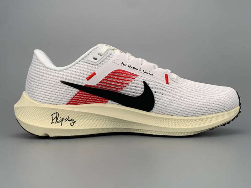 Nike Pegasus 40 Shoes