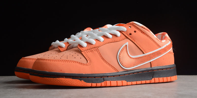 Concepts x NK SB Dunk Low