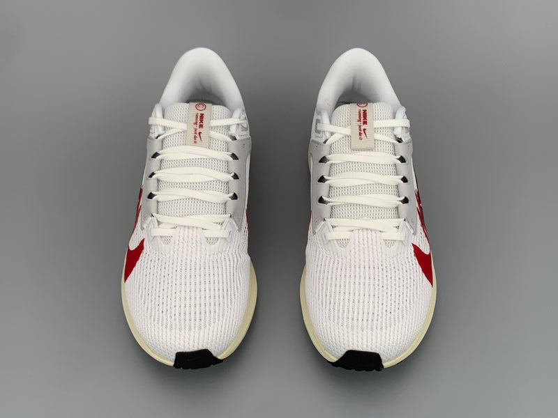 Tênis Nike Pegasus 40