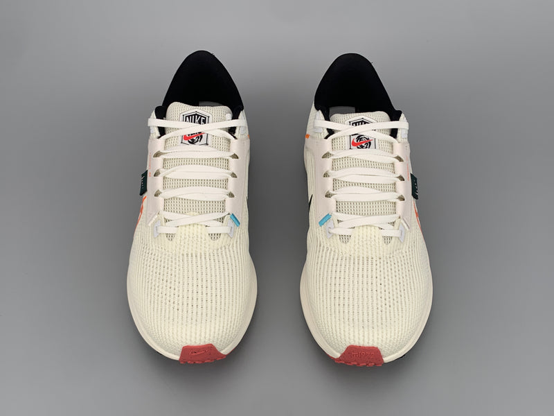 Tênis Nike Pegasus 40